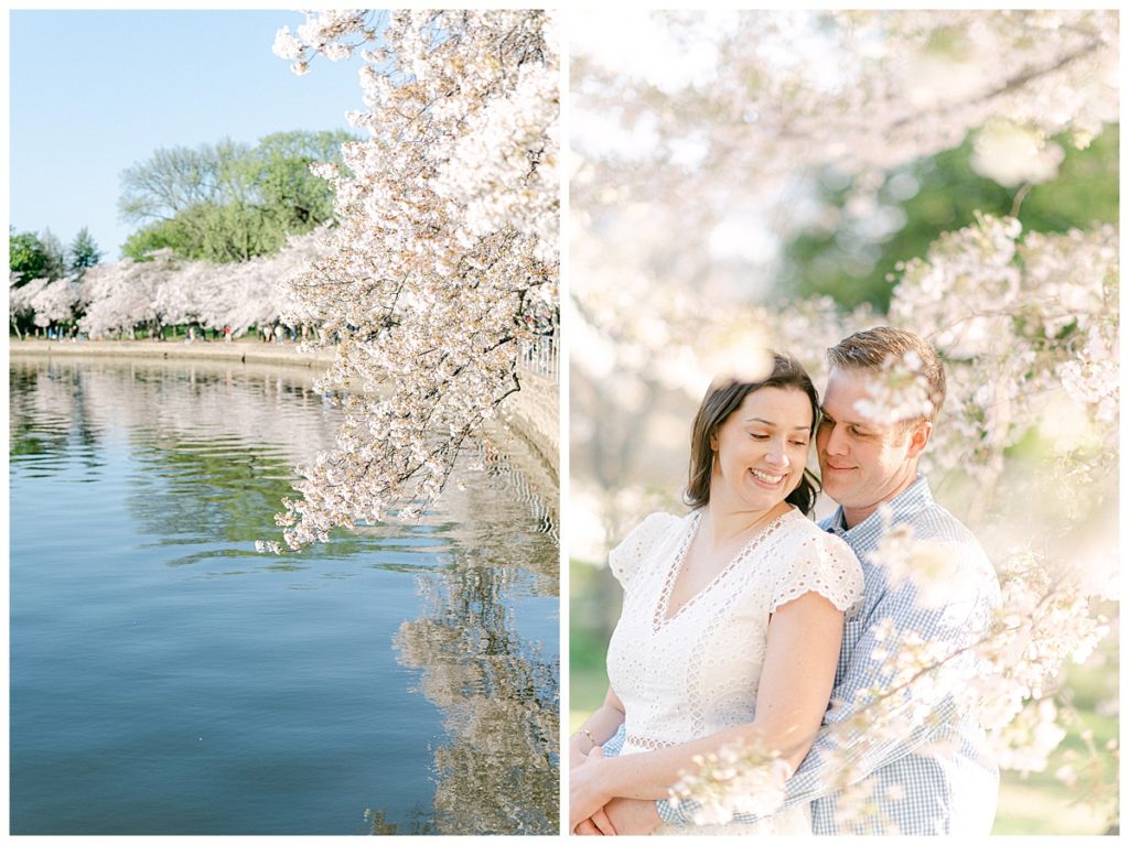 Cherry Blossom, Washington DC Engagement photos